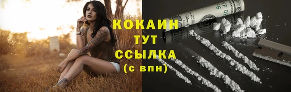 прущие грибы Балабаново