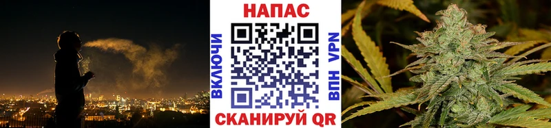 Марихуана планчик  Почеп 